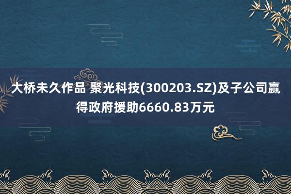 大桥未久作品 聚光科技(300203.SZ)及子公司赢得政府援助6660.83万元