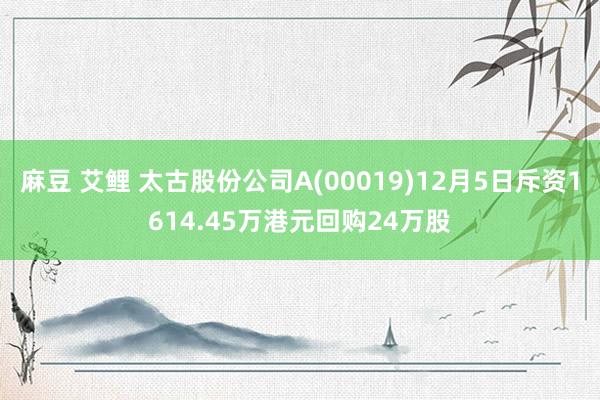 麻豆 艾鲤 太古股份公司A(00019)12月5日斥资1614.45万港元回购24万股