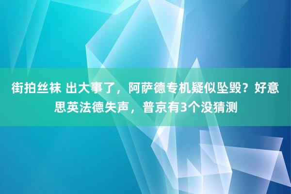 街拍丝袜 出大事了，阿萨德专机疑似坠毁？好意思英法德失声，普京有3个没猜测