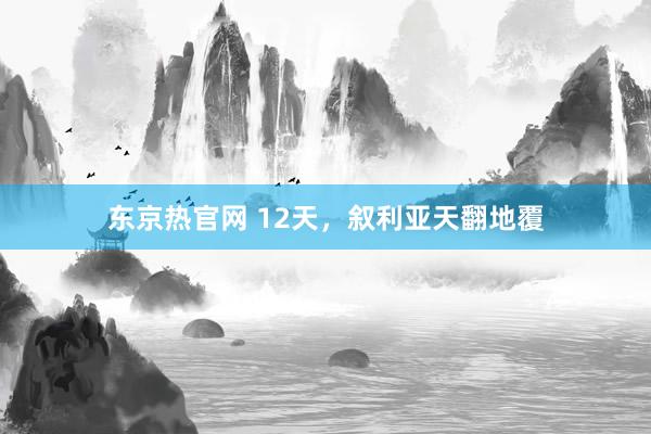 东京热官网 12天，叙利亚天翻地覆