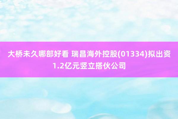 大桥未久哪部好看 瑞昌海外控股(01334)拟出资1.2亿元竖立搭伙公司