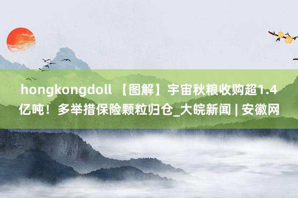 hongkongdoll 【图解】宇宙秋粮收购超1.4亿吨！多举措保险颗粒归仓_大皖新闻 | 安徽网