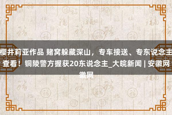 樱井莉亚作品 赌窝躲藏深山，专车接送、专东说念主查看！铜陵警方握获20东说念主_大皖新闻 | 安徽网