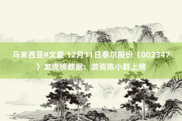 马来西亚#文爱 12月11日泰尔股份（002347）龙虎榜数据：游资陈小群上榜