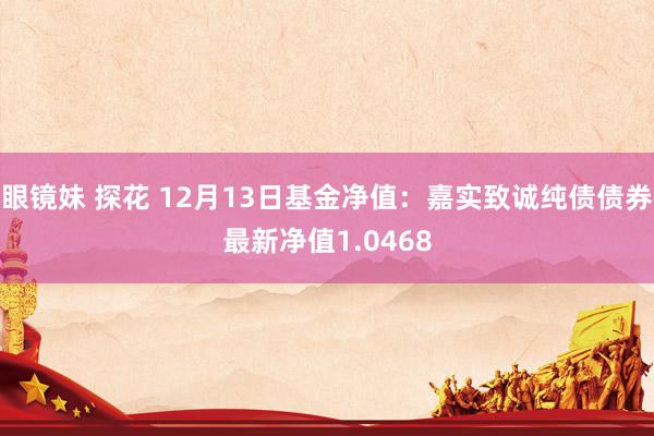 眼镜妹 探花 12月13日基金净值：嘉实致诚纯债债券最新净值1.0468