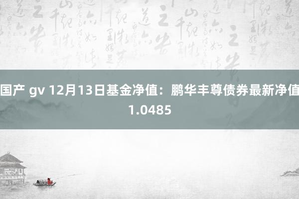 国产 gv 12月13日基金净值：鹏华丰尊债券最新净值1.0485