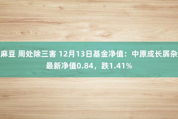 麻豆 周处除三害 12月13日基金净值：中原成长羼杂最新净值0.84，跌1.41%