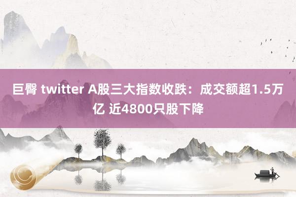 巨臀 twitter A股三大指数收跌：成交额超1.5万亿 近4800只股下降