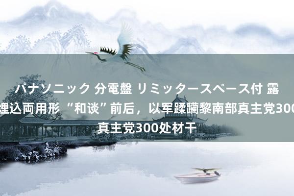 パナソニック 分電盤 リミッタースペース付 露出・半埋込両用形 “和谈”前后，以军蹂躏黎南部真主党300处材干