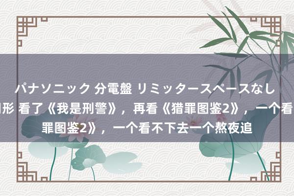 パナソニック 分電盤 リミッタースペースなし 露出・半埋込両用形 看了《我是刑警》，再看《猎罪图鉴2》，一个看不下去一个熬夜追