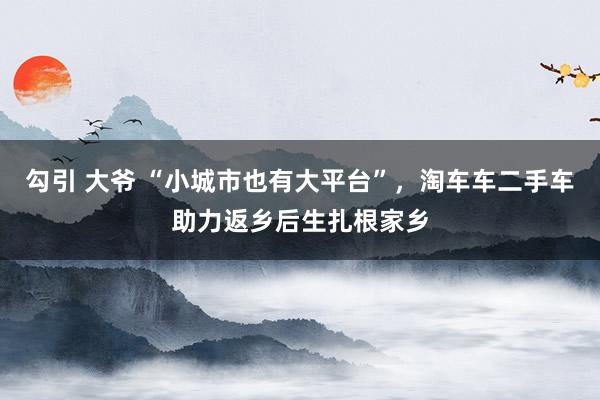 勾引 大爷 “小城市也有大平台”，淘车车二手车助力返乡后生扎根家乡