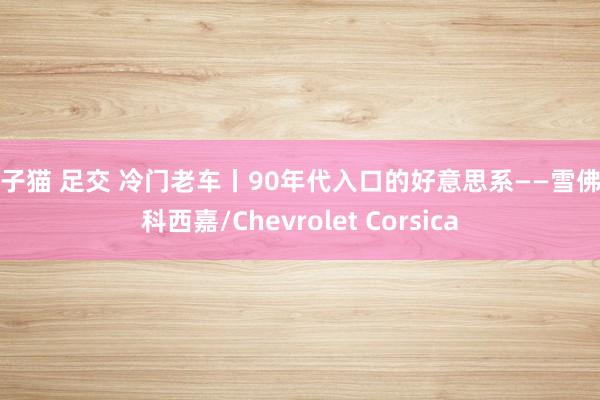 柚子猫 足交 冷门老车丨90年代入口的好意思系——雪佛兰科西嘉/Chevrolet Corsica