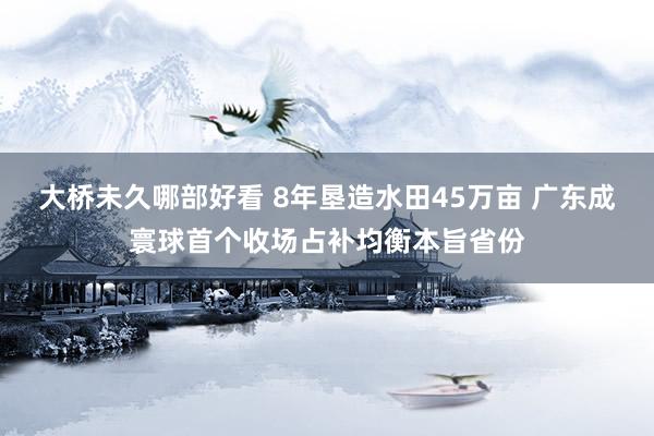 大桥未久哪部好看 8年垦造水田45万亩 广东成寰球首个收场占补均衡本旨省份