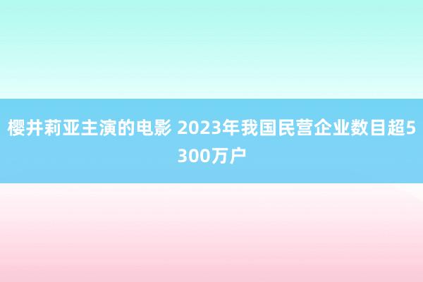 樱井莉亚主演的电影 2023年我国民营企业数目超5300万户