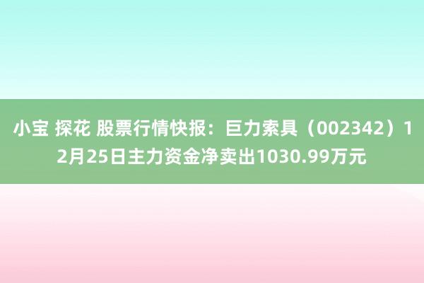 小宝 探花 股票行情快报：巨力索具（002342）12月25日主力资金净卖出1030.99万元