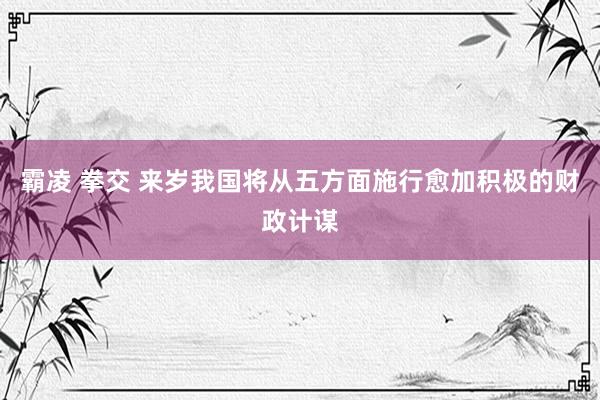 霸凌 拳交 来岁我国将从五方面施行愈加积极的财政计谋