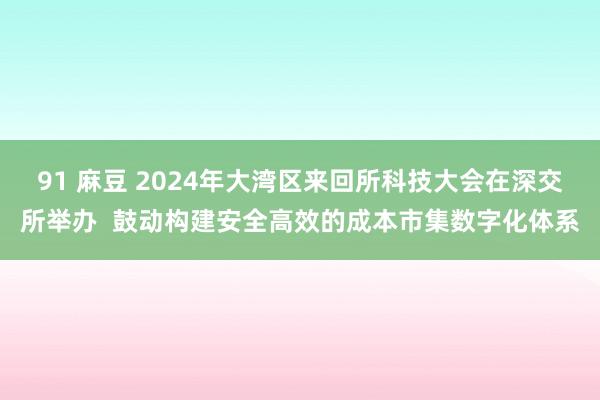 91 麻豆 2024年大湾区来回所科技大会在深交所举办  鼓动构建安全高效的成本市集数字化体系