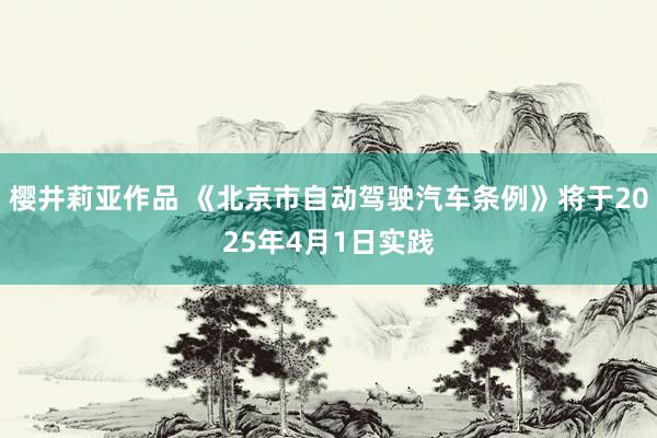 樱井莉亚作品 《北京市自动驾驶汽车条例》将于2025年4月1日实践