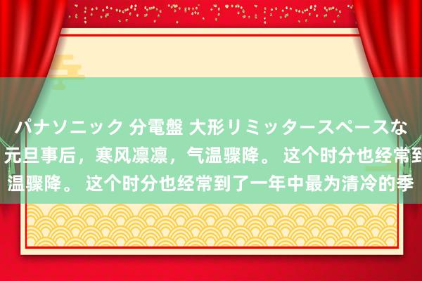 パナソニック 分電盤 大形リミッタースペースなし 露出・半埋込両用形 元旦事后，寒风凛凛，气温骤降。 这个时分也经常到了一年中最为清冷的季