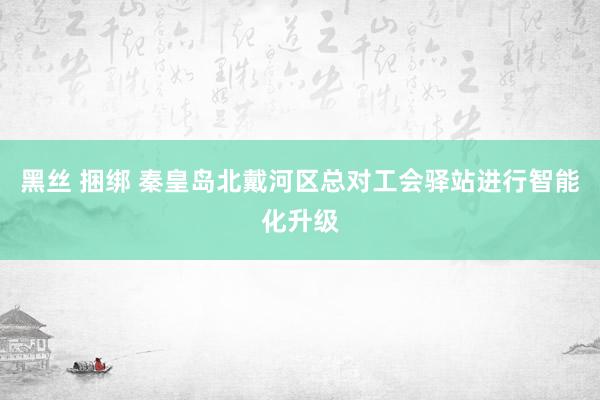 黑丝 捆绑 秦皇岛北戴河区总对工会驿站进行智能化升级