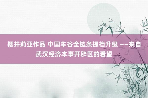 樱井莉亚作品 中国车谷全链条提档升级 ——来自武汉经济本事开辟区的看望