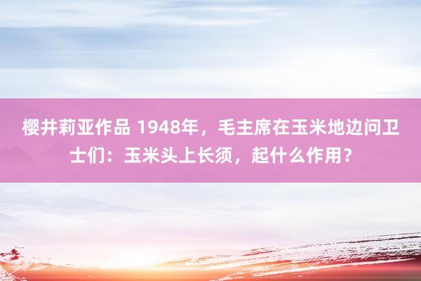 樱井莉亚作品 1948年，毛主席在玉米地边问卫士们：玉米头上长须，起什么作用？