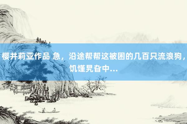 樱井莉亚作品 急，沿途帮帮这被困的几百只流浪狗，饥馑旯旮中...