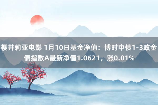 樱井莉亚电影 1月10日基金净值：博时中债1-3政金债指数A最新净值1.0621，涨0.01%