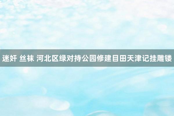 迷奸 丝袜 河北区绿对持公园修建目田天津记挂雕镂