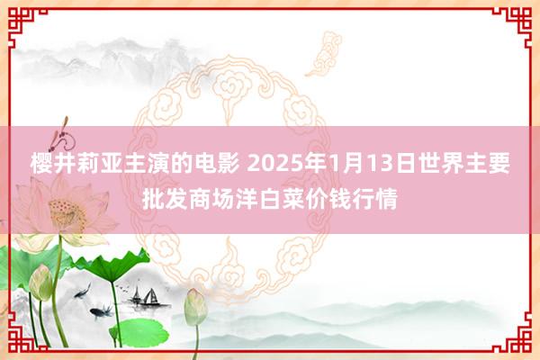 樱井莉亚主演的电影 2025年1月13日世界主要批发商场洋白菜价钱行情