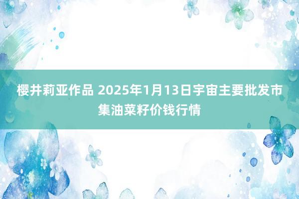 樱井莉亚作品 2025年1月13日宇宙主要批发市集油菜籽价钱行情