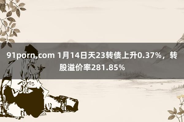 91porn，com 1月14日天23转债上升0.37%，转股溢价率281.85%