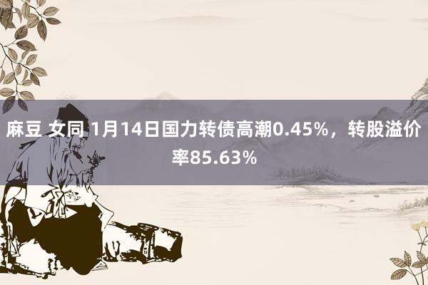 麻豆 女同 1月14日国力转债高潮0.45%，转股溢价率85.63%